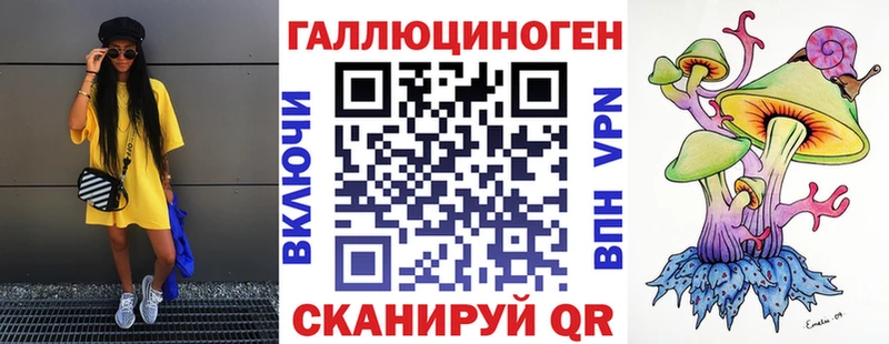 Купить  Ефремов  Псилоцибиновые грибы Psilocybine cubensis 
